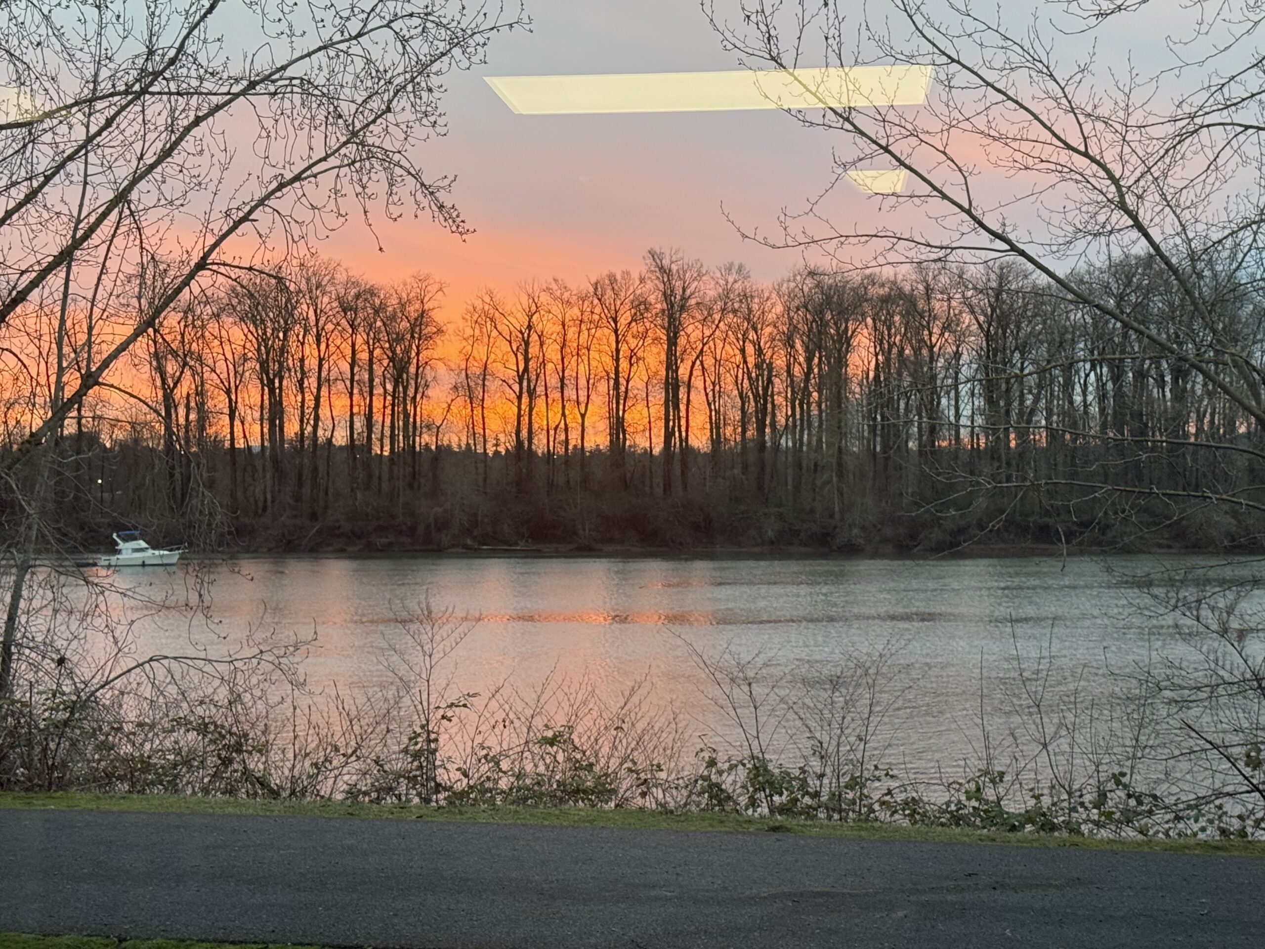 Beautiful outdoor nature view from our Rehab Without Walls facility in Portland, Oregon